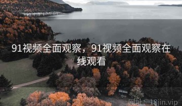 91视频全面观察，91视频全面观察在线观看