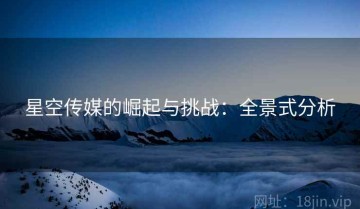 星空传媒的崛起与挑战：全景式分析