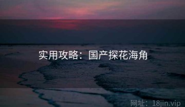 实用攻略：国产探花海角