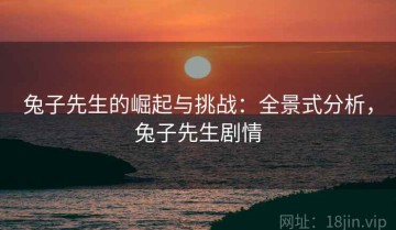 兔子先生的崛起与挑战：全景式分析，兔子先生剧情
