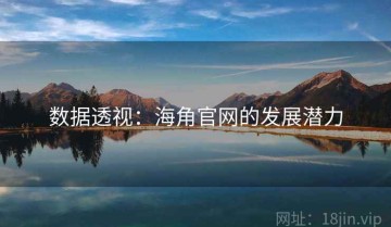 数据透视：海角官网的发展潜力