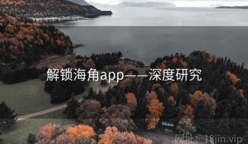 解锁海角app——深度研究
