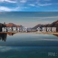 解锁黑料网——全面观察