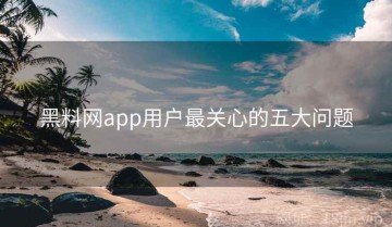 黑料网app用户最关心的五大问题