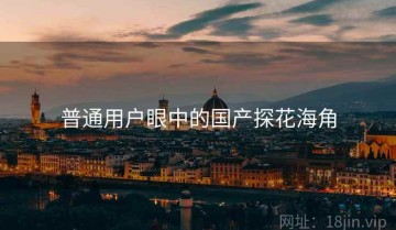 普通用户眼中的国产探花海角