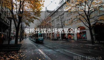 蜜桃传媒市场格局全解