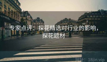 专家点评：探花精选对行业的影响，探花题材