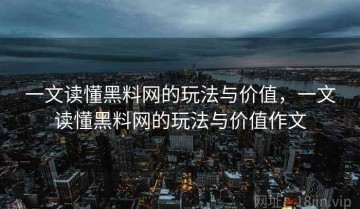 一文读懂黑料网的玩法与价值，一文读懂黑料网的玩法与价值作文