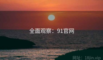 全面观察：91官网