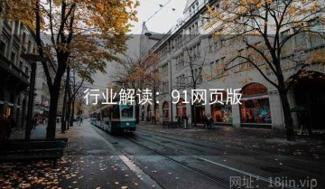 行业解读：91网页版