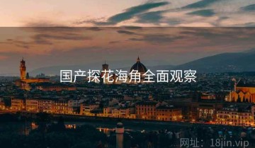 国产探花海角全面观察