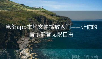 电鸽app本地文件播放入门——让你的音乐影音无限自由