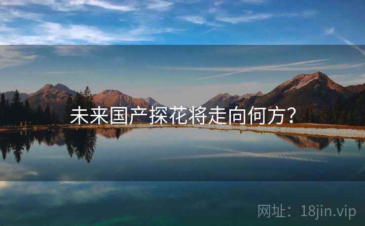 未来国产探花将走向何方? 未来国产探花将走向何方?